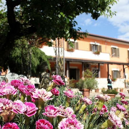 B&B Casale Shanti Piedimonte San Germano Exterior photo